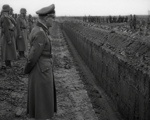 d234205f-96ed-429d-8709-0d490d92bb71